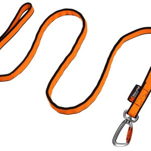 BUNGEE LEASH BIKEJORING. 2.8