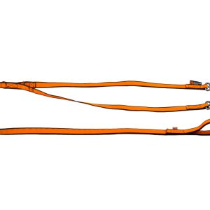 Bungee leash double