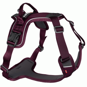 Ramble harness