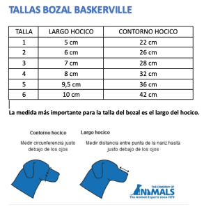 BOZALES BASKERVILLE - Imagen 5