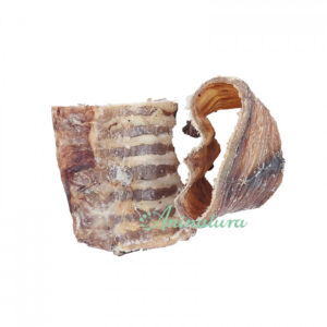 SNAK TRAQUEA DE TERNERA 100 gr.