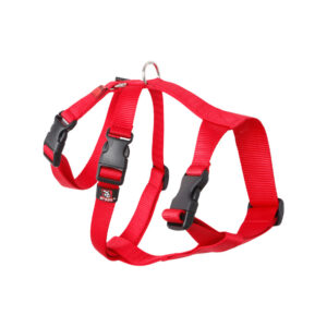 ARNES ANTI ESCAPE T-P