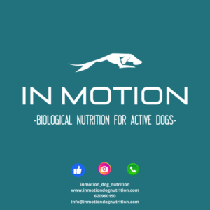 IN MOTION